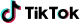 TikTok Icon