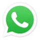 WhatsApp Icon
